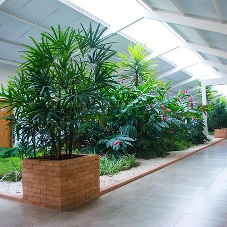 Hotel Vila Verde Penápolis Extérieur photo